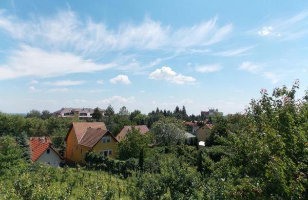 Bencze Vendeghaz Zalakaros Daire Dış mekan fotoğraf